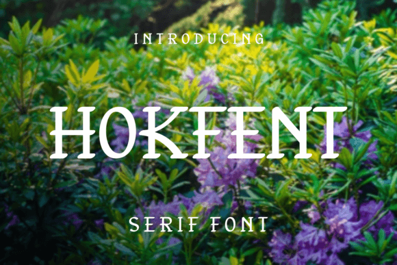 Hokfent: A Cool and Playful Serif Font for Modern Projects